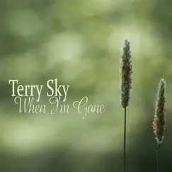 When I'm Gone by Terry Sky album reviews, ratings, credits