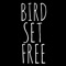 Bird Set Free (Originally Performed By Sia) - Starstruck Backing Tracks lyrics