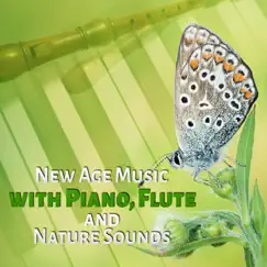 New Age Music with Piano, Flute and Nature Sounds by Healing Yoga Meditation Music Consort & Relaxing Zen Music Ensemble album reviews, ratings, credits