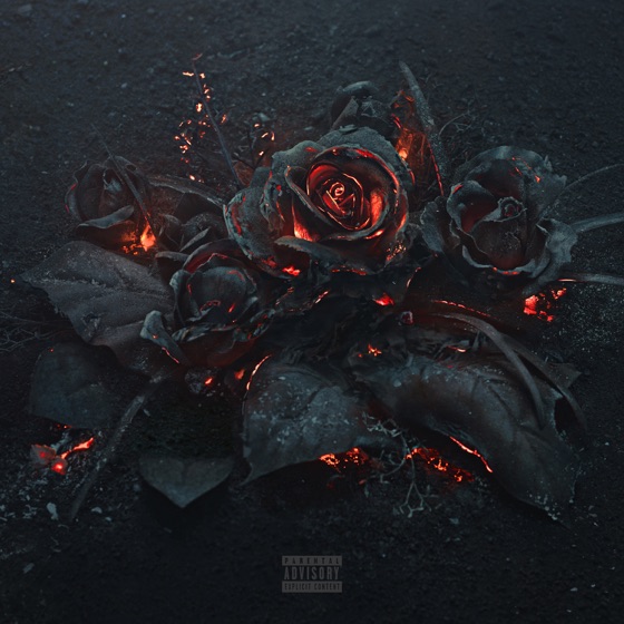 Cover artwork for Program