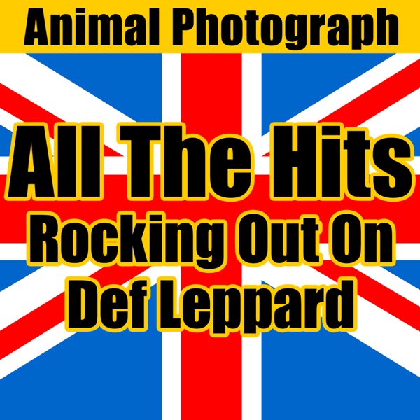 Album art for Photograph by Def Leppard