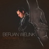 Berjan Welink - Onderweg