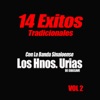 14 Éxitos Tradicionales, Vol. 2
