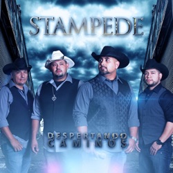 Stampede - Voy a Llorar por Ti