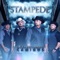 Voy a Llorar por Ti - Stampede lyrics