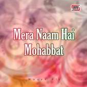 Mera Naam Hai Mohabbat artwork