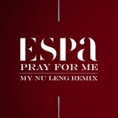 Pray for Me (My Nu Leng Remix) artwork