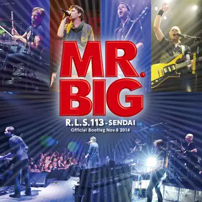 R.L.S. 113 SENDAI Official Bootleg Nov.8, 2014 - Mr. Big