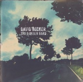 David Becker - Blues for Waldo