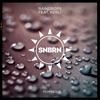 Raindrops (feat. Kerli) [Remixes] - Single