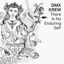 There Is No Enduring Self by DMX Krew album reviews, ratings, credits