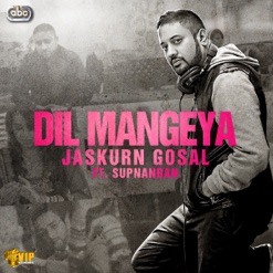 DIL MANGEYA cover art