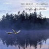 The Sibelius Edition, Vol. 8: Orchestral Works