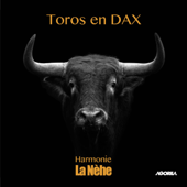 Toros en Dax - Harmonie la Nèhe