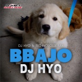 Bbajo (Dj Hyo & Technoposse Radio Edit) artwork