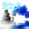 Wellness Spa Meditation – Over 120 Minutes of Relaxing Music, Oriental Massage, Stress Relief, Tranquility Spa Music