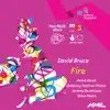 David Bruce: Fire - EP album lyrics, reviews, download