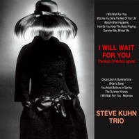 Steve Kuhn Trio - I Will Wait for You artwork