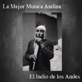 La Mejor Música Andina - El Indio de los Andes artwork