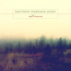 Cold Answer by Matthew Perryman Jones album reviews, ratings, credits