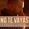 No Te Vayas - Robin Del Castillo lyrics