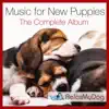 Music for New Puppies - The Complete Album album lyrics, reviews, download