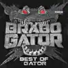 Best of Gator album lyrics, reviews, download