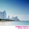 Ambient North - Breath Easy Now