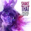 Shake That (feat. DJ Funk) [Radio Edit] song lyrics