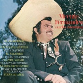 Vicente Fernández - Te Voy A Hacer Que Me Quieras (Album Version)