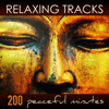 Relaxing Tracks - 200 Peaceful Minutes of Zen Relaxation Meditation Yoga Music with Sounds of Nature - Relaxing Music Spirit