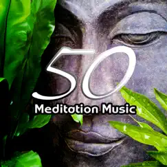 Meditation Music 50 by Mindfulness Meditation Music Spa Maestro album reviews, ratings, credits