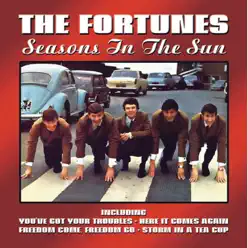 Seasons In The Sun - The Fortunes