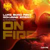 On Fire (feat. Roxanne Emery) [Aly & Fila Remix] - Single album lyrics, reviews, download