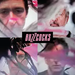In the Back - Single - Buzzcocks In the Back - Single - Buzzcocks