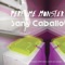 Bad Salad - Sans Caballo lyrics