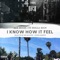 I Know How It Feel (feat. Ty Dolla $ign) - Ace Hood lyrics