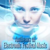 Anthems of Electronic Festival Music