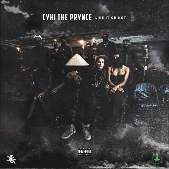 Cover artwork for Like It Or Not