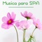 Musicoterapia - Musica Para Relajarse lyrics