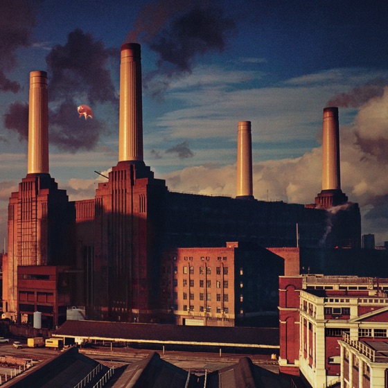 Cover artwork for Sheep