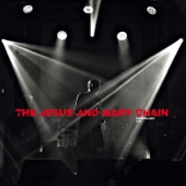 The Jesus And Mary Chain - Never understand (Live)