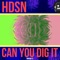 Can You Dig It (Manu Noeth Remix) - HDSN lyrics