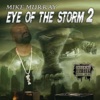 Eye of the Storm, Vol. 2