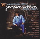 James Cotton - Don't Start Me Talking