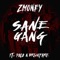 Sane Gang (feat. Polo & Brickfare) - Zmoney lyrics