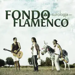 Surologia - Fondo Flamenco