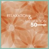 Relaxation & Meditation - Nature Sounds Music for Tibetan Chakra Balancing, Deep Baby Sleep, Studying, Healing Massage, Spa, Sound Therapy and Yoga