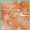 Relaxation & Meditation - Nature Sounds Music for Tibetan Chakra Balancing, Deep Baby Sleep, Studying, Healing Massage, Spa, Sound Therapy and Yoga, 2015