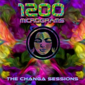 The Changa Sessions - EP artwork
